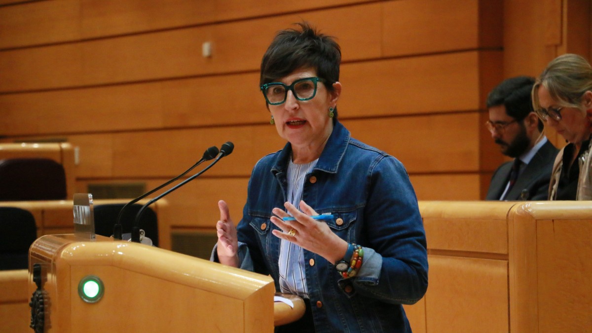 EAJ-PNV reclama prudencia y responsabilidad para analizar las incidencias de las pulseras antimaltrato y reclama al ministerio mayor transparencia e información