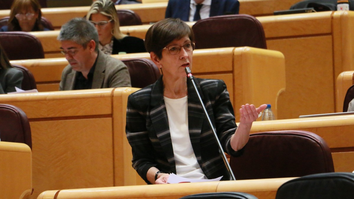 EAJ-PNVk heldutasun demokratikoa eskatu dio Ángel Víctor Torres ministroari Sekretu Ofizialen Legea 