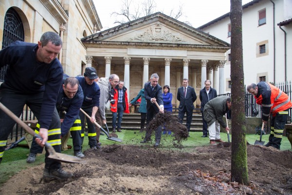 EAJ-PNV asiste a la plantación del joven roble en la Casa de Juntas de Gernika