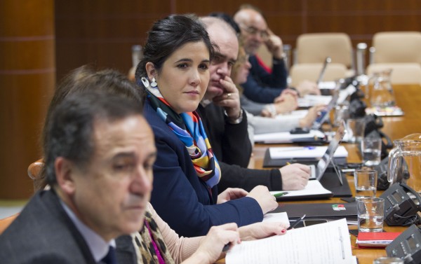 Comparecencia de Cristina Uriarte - XI legislatura