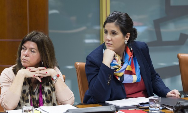Comparecencia de Cristina Uriarte - XI legislatura