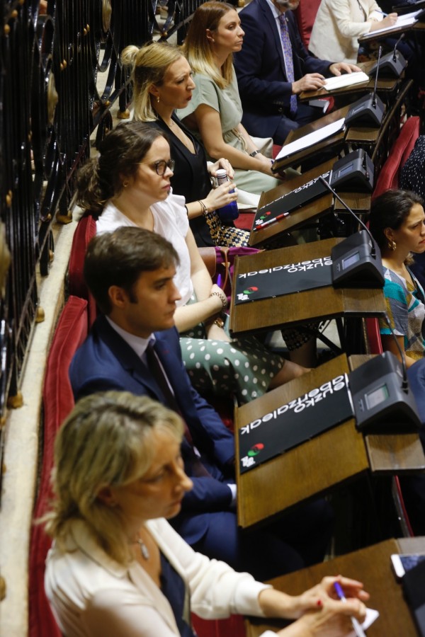 Pleno de Elección del Diputado general - 2019 Unai Rementeria 