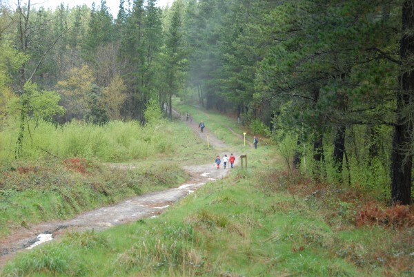 Aurre Aberri Eguna 2009