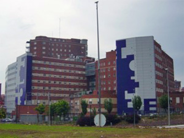 Hospital de Cruces II