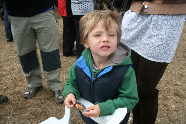 Alderdi Eguna 2010