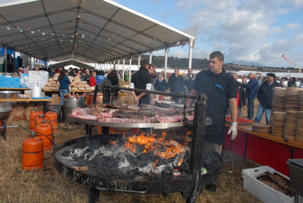 Alderdi Eguna 2010