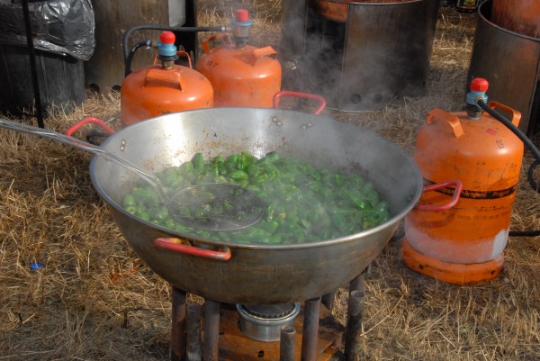 Alderdi Eguna 2010