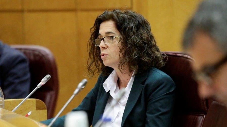 Rosa Peral demanda potenciar la innovación en digitalización de PYMEs, algo que hubiera podido garantizar su actividad durante el confinamiento Rosa Peral demanda potenciar la innovación en digitalización de PYMEs, algo que hubiera podido garantizar su actividad durante el confinamiento