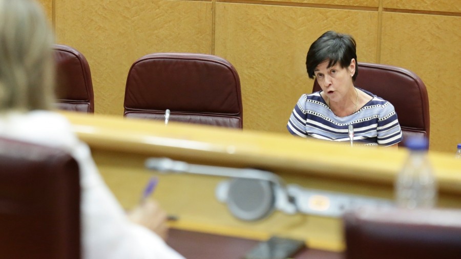 Nerea Ahedo defiende la necesidad de reforzar las políticas activas de empleo para afrontar la crisis Nerea Ahedo defiende la necesidad de reforzar las políticas activas de empleo para afrontar la crisis