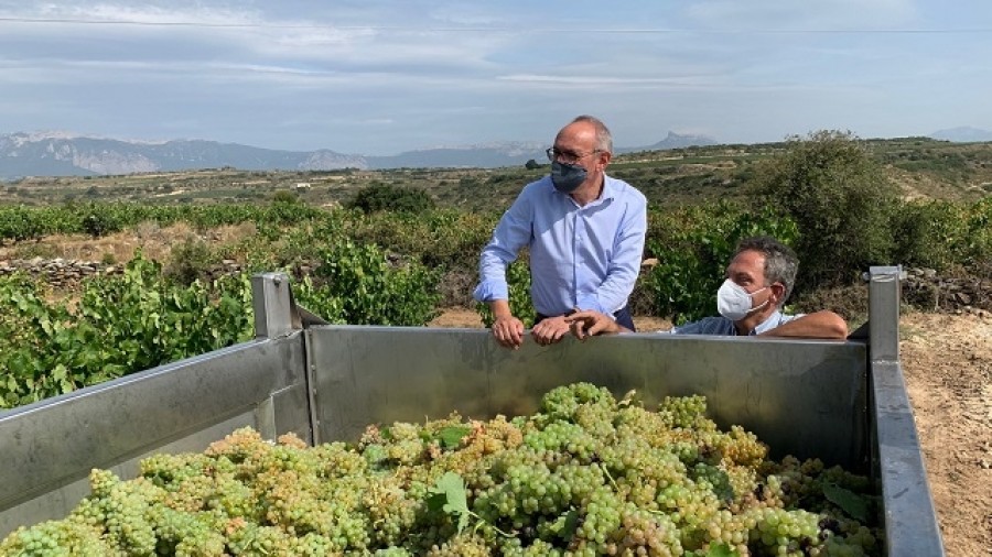 El diputado general pide “responsabilidad y compromiso real” a las grandes bodegas a la hora de establecer los precios de la uva El diputado general pide “responsabilidad y compromiso real” a las grandes bodegas a la hora de establecer los precios de la uva