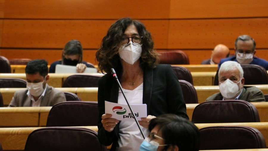 Rosa Peralek espazio programari berrekiteko eskatu dio Gobernu zentralari Ingenio satelitea ordezkatzeko Rosa Peralek espazio programari berrekiteko eskatu dio Gobernu zentralari Ingenio satelitea ordezkatzeko