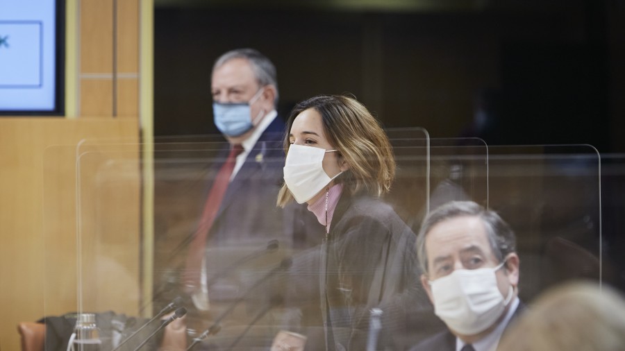 EAJ-PNVk Euskadiren zuzeneko elkarrizketa eta autonomien parte-hartzea defendatu du Europako funtsen kudeaketan EAJ-PNVk Euskadiren zuzeneko elkarrizketa eta autonomien parte-hartzea defendatu du Europako funtsen kudeaketan