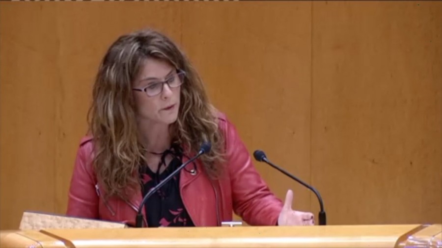 El Senado ha pedido al Gobierno español cubrir el personal de las Jefaturas de Tráfico a propuesta de EAJ-PNV El Senado ha pedido al Gobierno español cubrir el personal de las Jefaturas de Tráfico a propuesta de EAJ-PNV