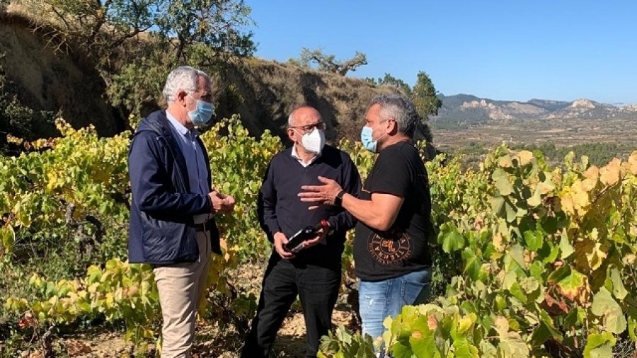 “Las condiciones de vendimia han sido muy buenas y eso suele ser antesala de estupendos vinos “Las condiciones de vendimia han sido muy buenas y eso suele ser antesala de estupendos vinos