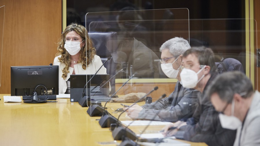 EAJ-PNVk eta PSE-EEk urtarrileko gaikuntza eskatu dute Eusko Jaurlaritzak osasun egoerari buruzko txostena egin dezan