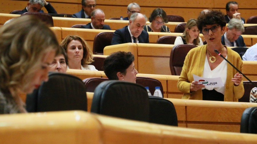 Maribel Vaquerok Karrantzako trenbide-sarea inbertsio eta mantentze-lanez hornitzera premiatu du Espainiako Gobernua, kalitatezko zerbitzu publikoa eskaintzeko Maribel Vaquerok Karrantzako trenbide-sarea inbertsio eta mantentze-lanez hornitzera premiatu du Espainiako Gobernua, kalitatezko zerbitzu publikoa eskaintzeko