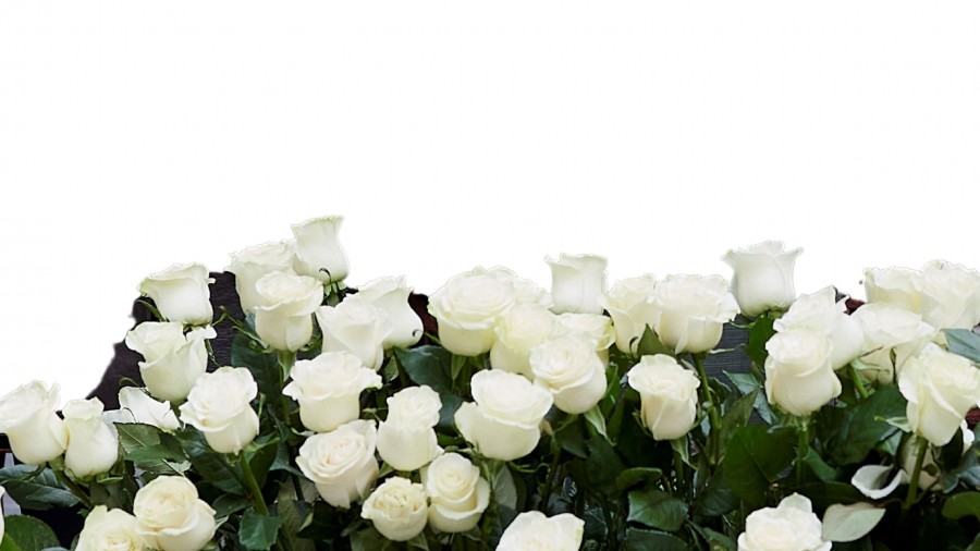 BIZIKIDETZARAKO MEMORIA, GUZTION MEMORIA - MEMORIA GUZTIAK BIZIKIDETZARAKO MEMORIA, GUZTION MEMORIA - MEMORIA GUZTIAK