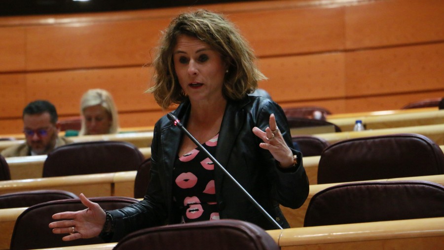 EAJ-PNV requiere al ministro de Cultura a que facilite los trámites para acceder al Bono Cultural Joven