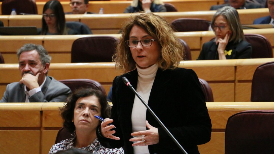 Almudena Otaolak kultur elkarte profesionalak legitimatzea eskatu du euren bazkideen izenean auzitan aritzeko Almudena Otaolak kultur elkarte profesionalak legitimatzea eskatu du euren bazkideen izenean auzitan aritzeko