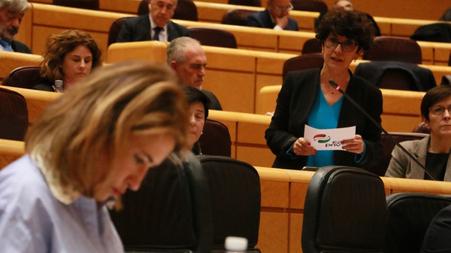 Maribel Vaqueroren iritziz, onartezina da Euskaditik mugikortasun arazoak dituzten pertsonentzat irisgarria izango dela bermatuko duen aldiriko trenik ez ibiltzea Maribel Vaqueroren iritziz, onartezina da Euskaditik mugikortasun arazoak dituzten pertsonentzat irisgarria izango dela bermatuko duen aldiriko trenik ez ibiltzea