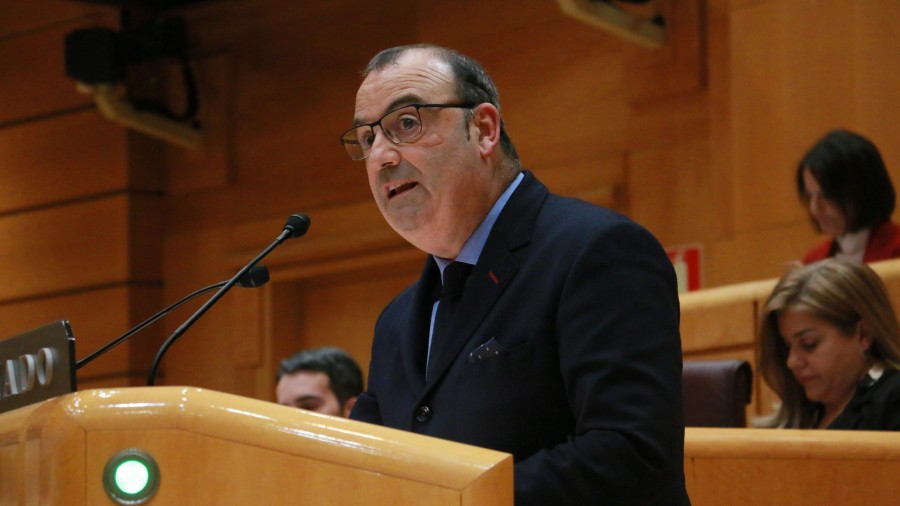 Luke Uribe-Etxebarria defiende en el Senado la propuesta del PERTE Territorial de Euskadi presentado ayer por el consejero Pedro Azpiazu