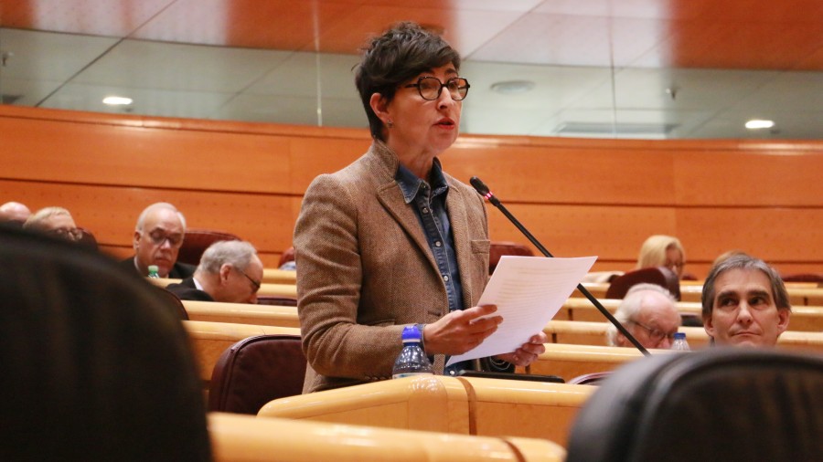 María Dolores Etxanok guraso bakarreko familiak babesteko politika espezifikoak garatzera deitu du María Dolores Etxanok guraso bakarreko familiak babesteko politika espezifikoak garatzera deitu du