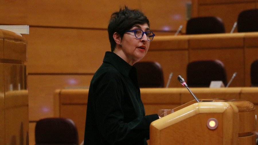 María Dolores Etxanok eskualdeko Perteak aktibatzea eskatu du, euskal proiektu estrategikoak garatzeko