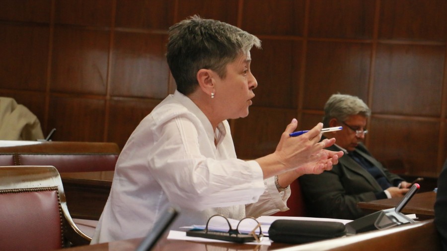 EAJ-PNVk proposatuta, Senatuak Lanbide Heziketako ikastaroak emateko produkzio-sektoreko adituak kontratatzeko epea 10 hilabetera arte luzatzea eskatu du EAJ-PNVk proposatuta, Senatuak Lanbide Heziketako ikastaroak emateko produkzio-sektoreko adituak kontratatzeko epea 10 hilabetera arte luzatzea eskatu du