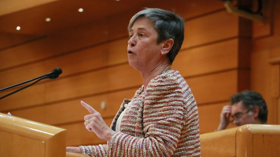 Nerea Ahedok mutualitateen izaerari buruzko azterketa sakonagoa eskatu du, eta sistema publikoan duten integrazio-maila altua agerian utzi du