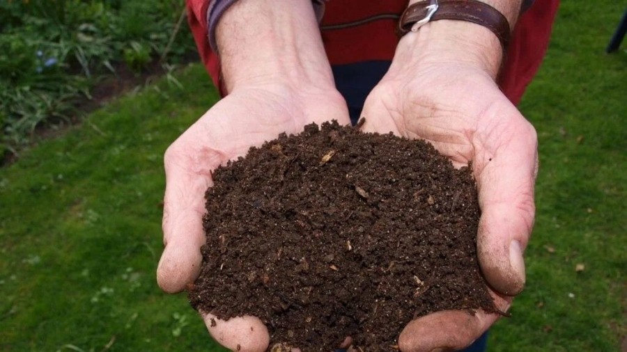 Arabako mendialdeko kuadrillak arriskuan jarri du eskualderako konpostaje-planta bat eraikitzeko proiektuaren bideragarritasuna Arabako mendialdeko kuadrillak arriskuan jarri du eskualderako konpostaje-planta bat eraikitzeko proiektuaren bideragarritasuna