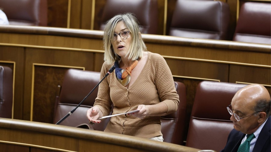 El Grupo Vasco exige agilizar las medidas para proteger a usuarios y menores en plataformas digitales El Grupo Vasco exige agilizar las medidas para proteger a usuarios y menores en plataformas digitales