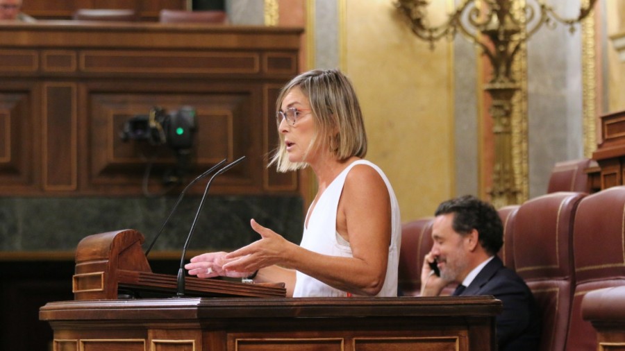 El Grupo Vasco reclama más semanas de permiso parental retribuido y que no dependa de la fecha de nacimiento del menor sino de su edad El Grupo Vasco reclama más semanas de permiso parental retribuido y que no dependa de la fecha de nacimiento del menor sino de su edad