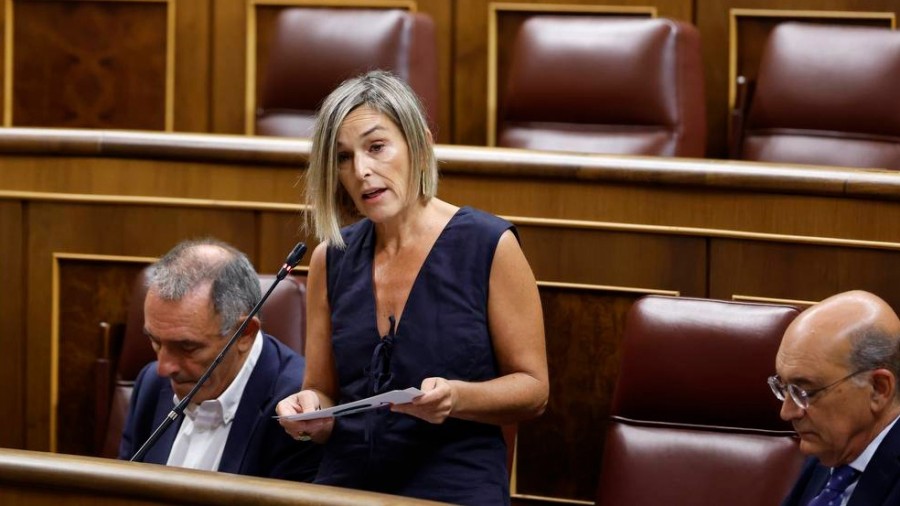 El Grupo Vasco pide al Gobierno español que garantice la prestación por cuidado de menores con enfermedad grave: El Grupo Vasco pide al Gobierno español que garantice la prestación por cuidado de menores con enfermedad grave: