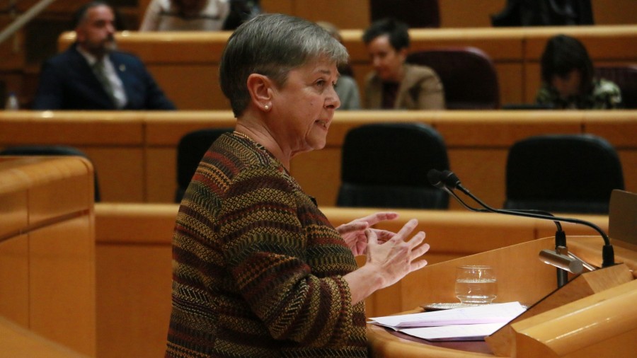Nerea Ahedo apremia al ministro Bustinduy a buscar fórmulas que atiendan a las necesidades específicas de las familias numerosas Nerea Ahedo apremia al ministro Bustinduy a buscar fórmulas que atiendan a las necesidades específicas de las familias numerosas