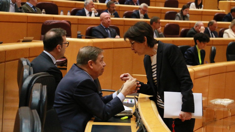 Estefanía Beltrán de Heredia demanda “claridad, firmeza y contundencia” al ministro Planas para defender al sector ganadero frente a la política de “sobreprotección” del lobo