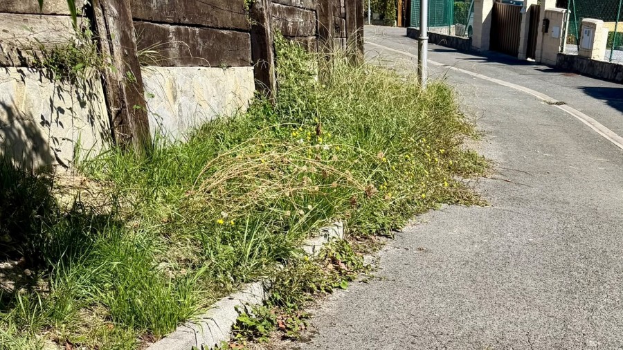 EAJ-PNV de Lemoiz denuncia que los problemas de limpieza y mantenimiento siguen sin resolverse en el municipio