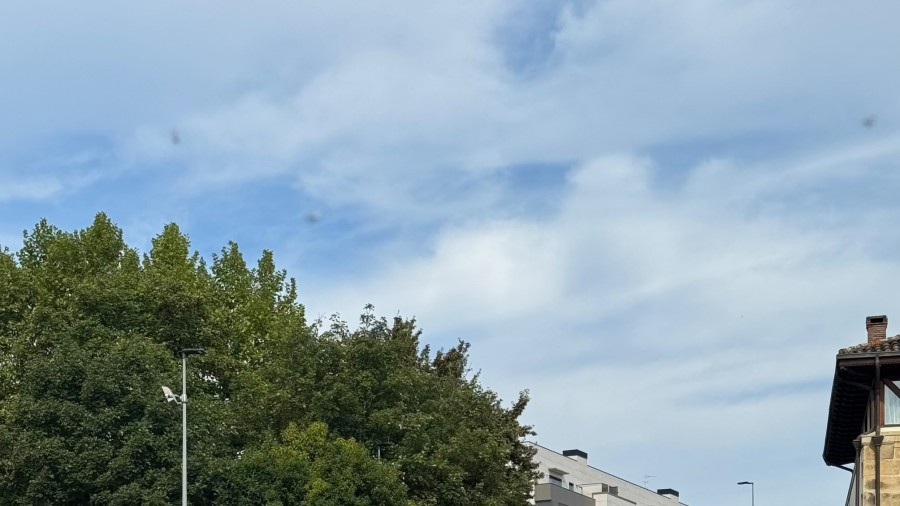 Iurretako EAJ-PNVk hauteskunde-programaren % 85 gauzatuta edo martxan du legegintzaldiaren azken zatian